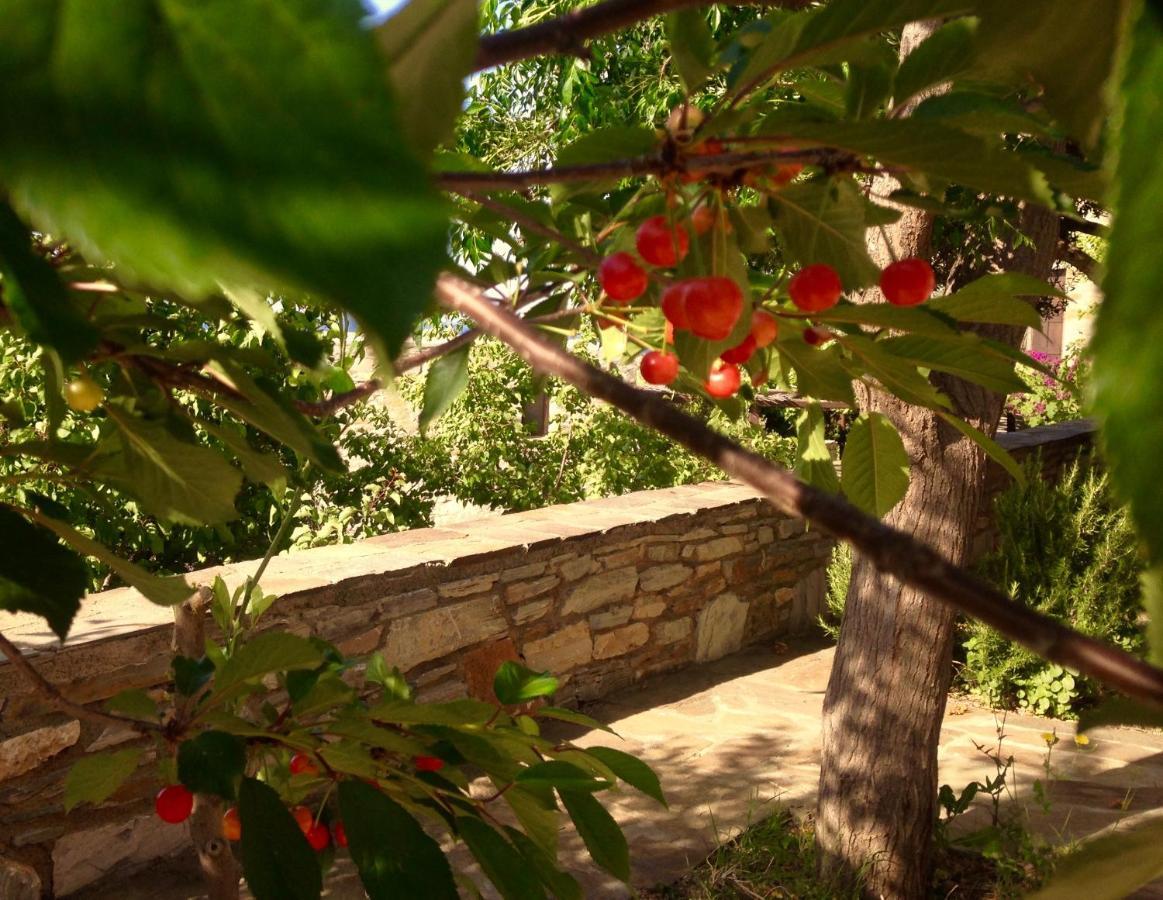 Pyrgos Traditional Village Ágios Kírykos 외부 사진